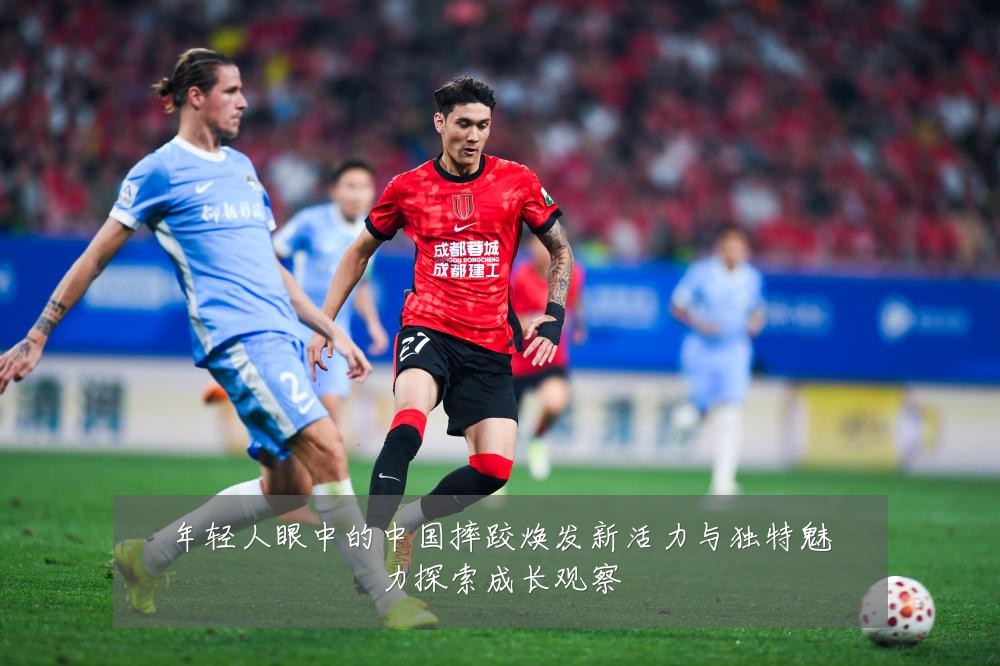 年轻人眼中的中国摔跤焕发新活力与独特魅力探索成长观察